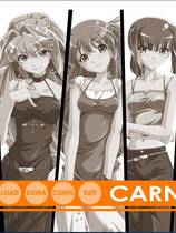 537 - 狂欢节carnival カーニバル汉化硬盘去广告纯净版