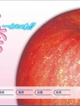 454 - 加奈…欢迎回来!! 加奈…おかえり！！ 汉化硬盘去广告纯净版