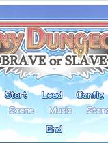 606 - Tiny Dungeon ~BRAVE or SLAVE~ 汉化硬盘去广告纯净版