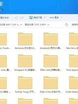 SVIP - 013 - 8000G 精品动漫高清合集 百度云盘资源